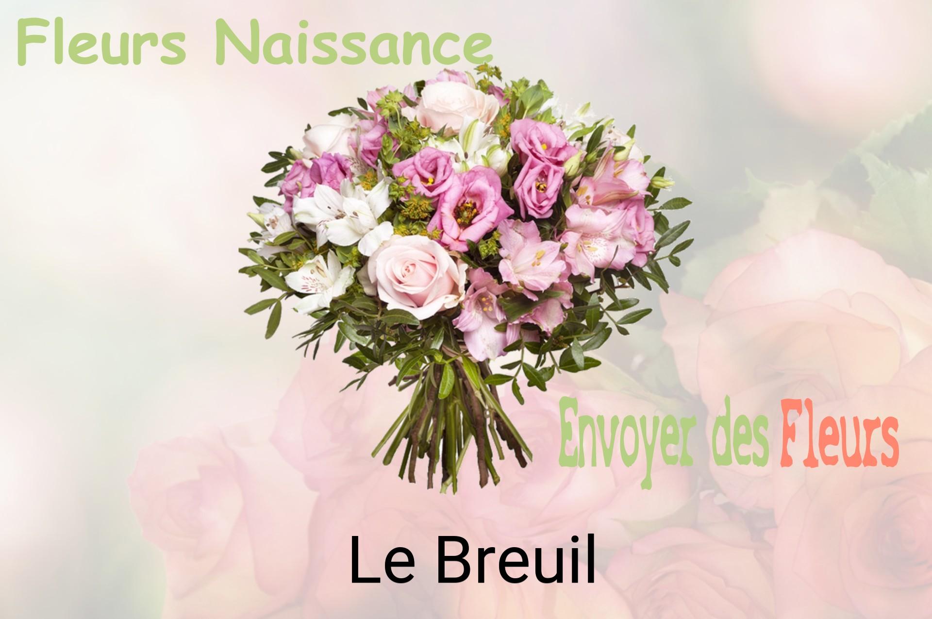 Bouquet de fleurs de naissance livré à Le Breuil